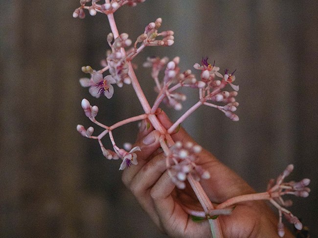 Kubu Restaurant in Mandapa, a Ritz-Carlton Reserve