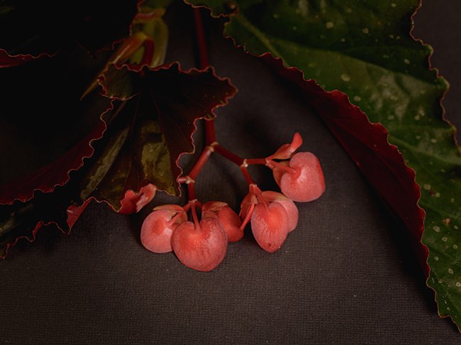 Kubu Restaurant in Mandapa, a Ritz-Carlton Reseve