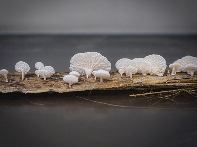 Kubu Restaurant in Mandapa, a Ritz-Carlton Reserve